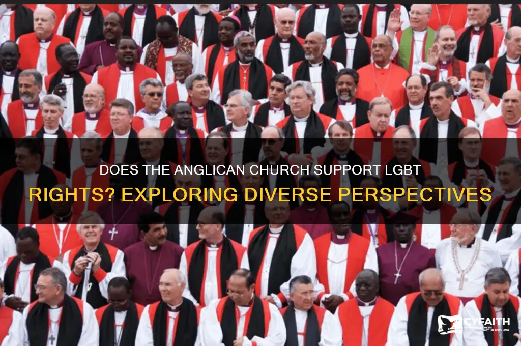 does the anglican church support lgbt