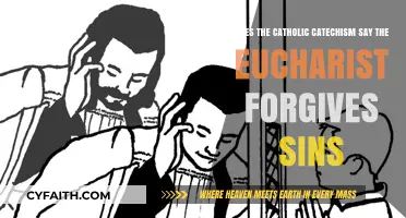 Eucharist and Sin Forgiveness: What the Catholic Catechism Teaches