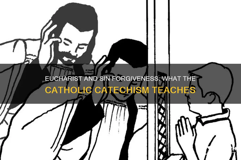 does the catholic catechism say the eucharist forgives sins