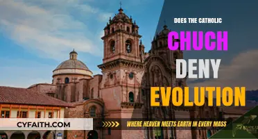 The Catholic Church's Stance on Evolution: A Complex History