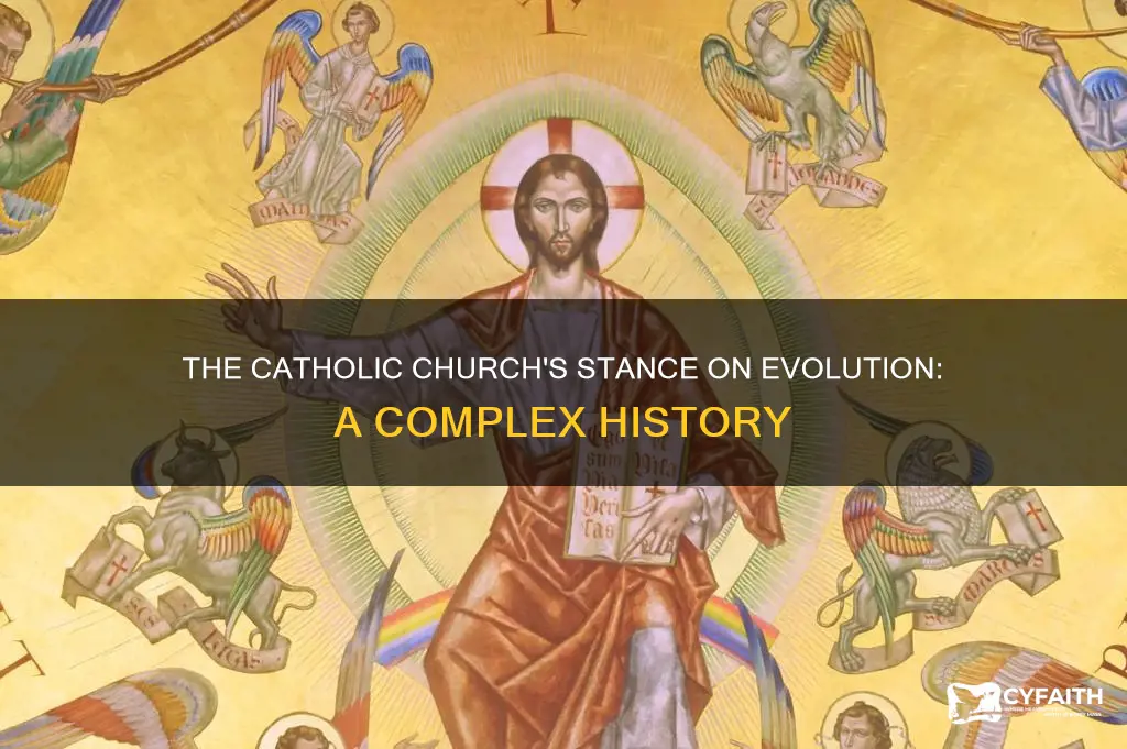 does the catholic chuch deny evolution