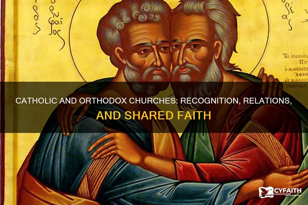 does the catholic church recognize the orthodox church
