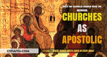 Are Orthodox Churches Apostolic in the Eyes of the Catholic Church?