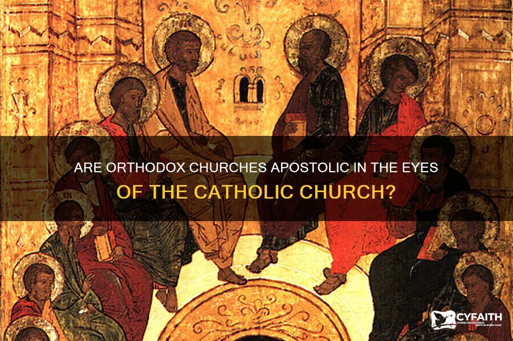 does the catholic church view the orthodox churches as apostolic
