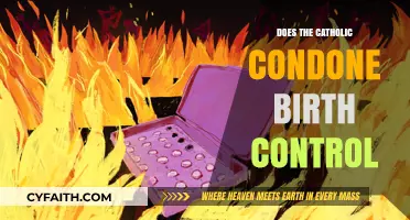 Birth Control and Catholicism: What's the Verdict?