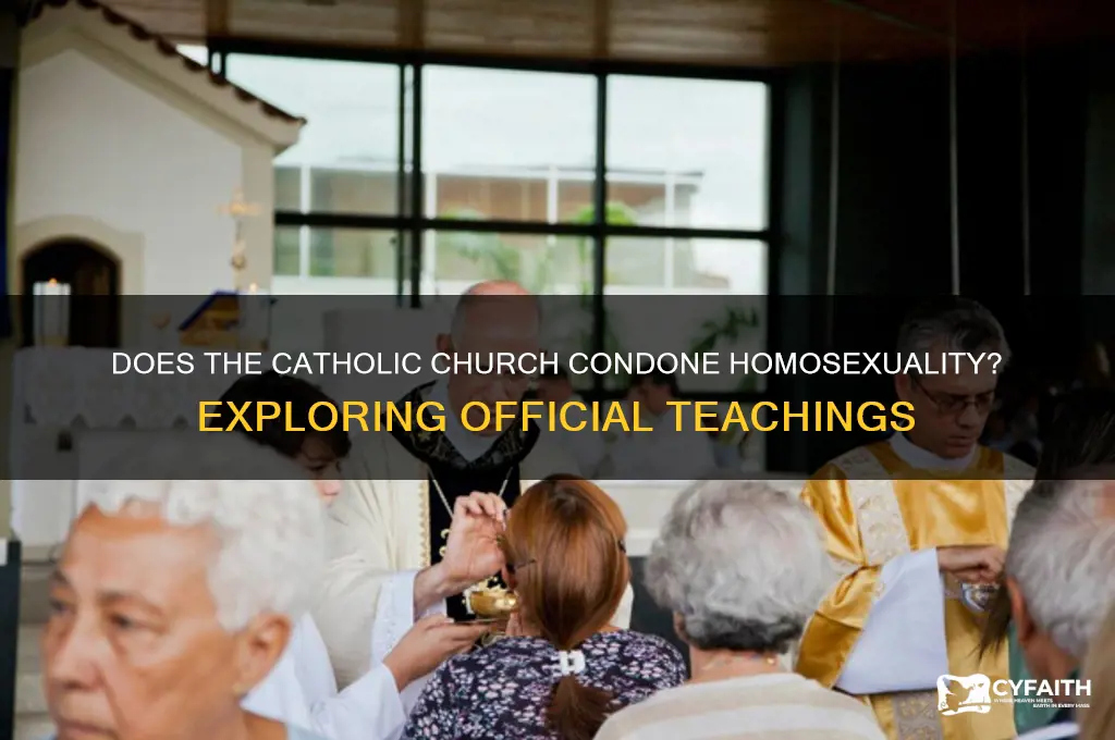 does the catholic condone homosexuality