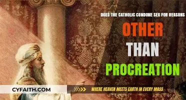 Catholic Church's Stance on Non-Procreative Sexual Activity: Exploring the Doctrine