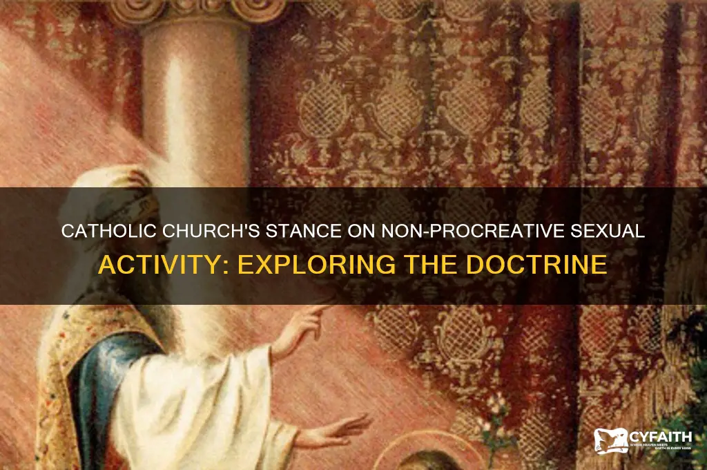 does the catholic condone sex for reasons other than procreation