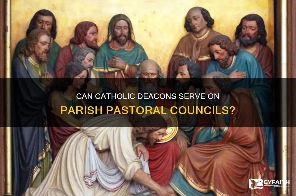 does the catholic deacon serve on the parish pastoral council