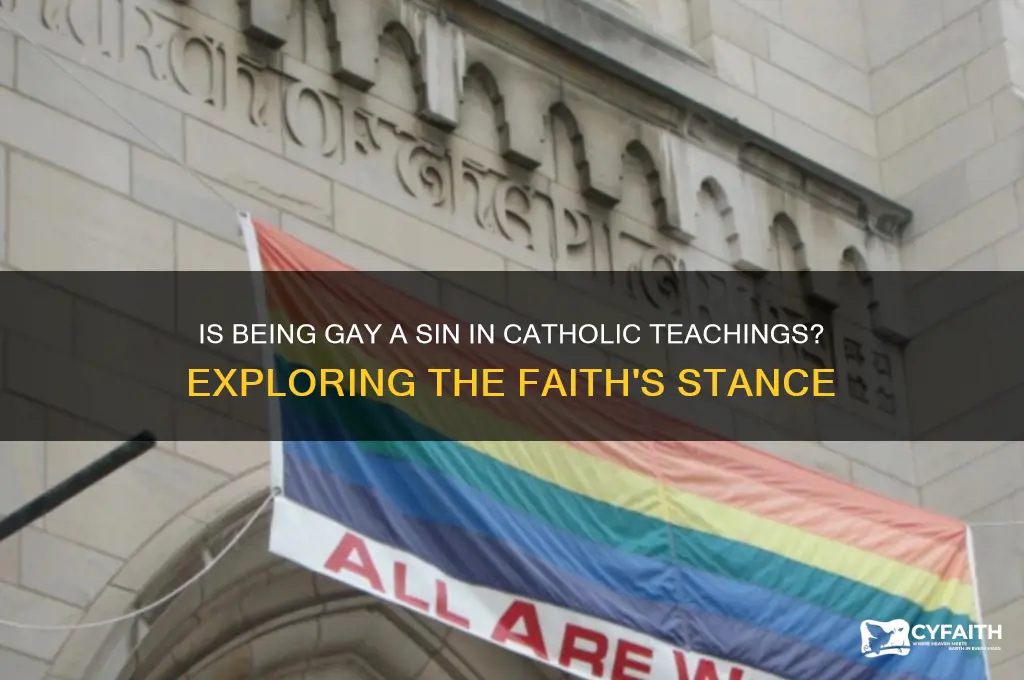 does the catholic faith say being gay a sin