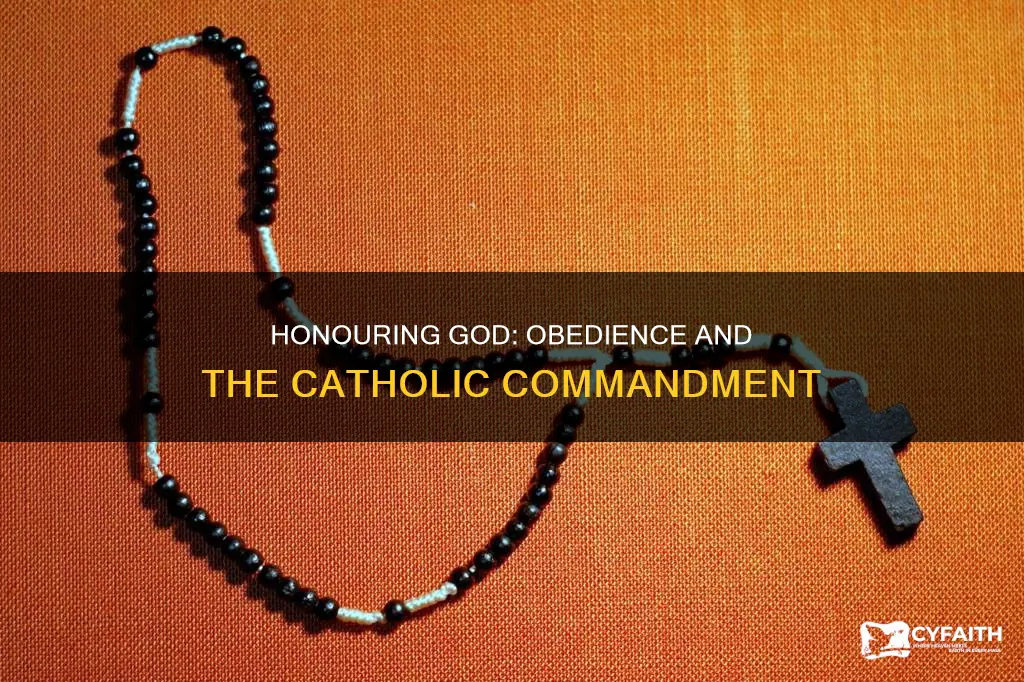 does the commandment to honour include obedience catholic