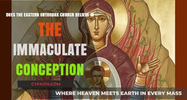 Eastern Orthodox Church's Stance on Immaculate Conception: A Detailed Exploration