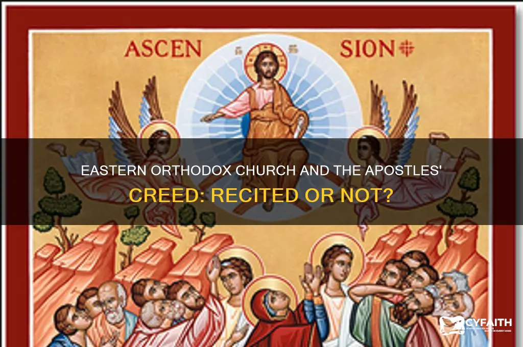 does the eastern orthodox church recite the apostles creed