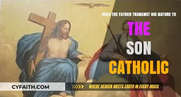 Catholic Perspective: Father's Nature Transmission to Son Explored