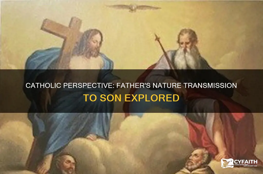 does the father transmit his nature to the son catholic