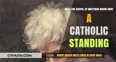 Is the Gospel of Matthew Movie Aligned with Catholic Teachings?