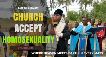 Orthodox Church and Homosexuality: Understanding the Official Stance and Views