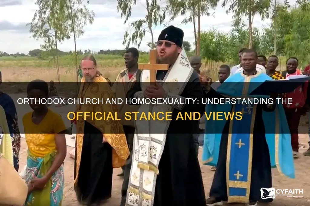 does the orthodox church accept homosexuality