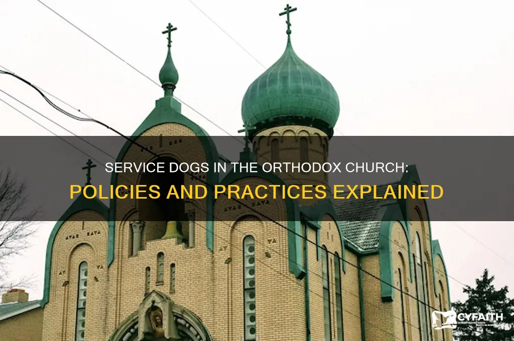 does the orthodox church allow service dogs