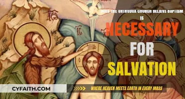 Orthodox Church's Stance: Is Baptism Essential for Salvation?