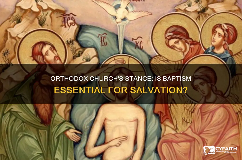does the orthodox church believe baptism is necessary for salvation