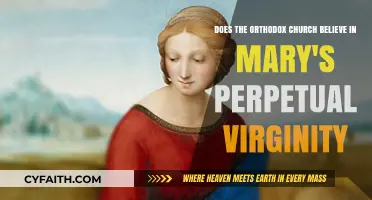 Mary's Perpetual Virginity: Orthodox Church Teachings and Beliefs Explained