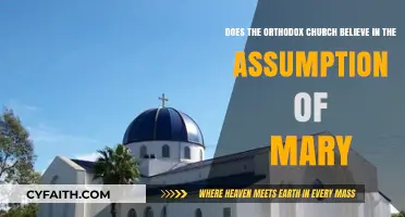 Orthodox Church's Stance on the Assumption of Mary Explained