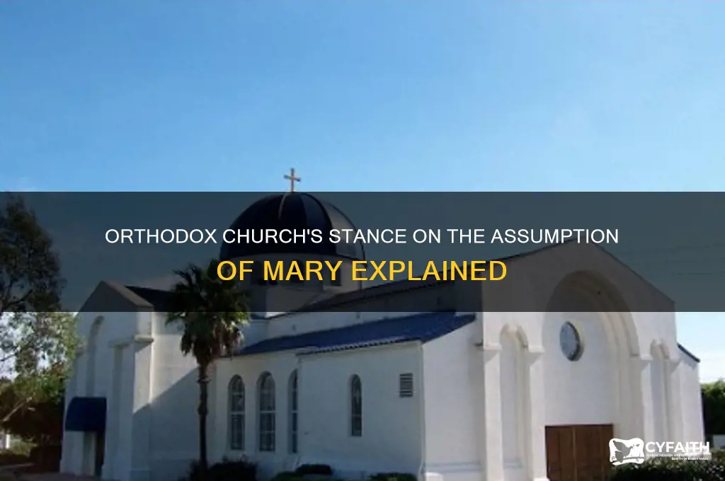 does the orthodox church believe in the assumption of mary