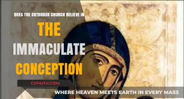 Immaculate Conception: Orthodox Church's Stance and Theological Perspective
