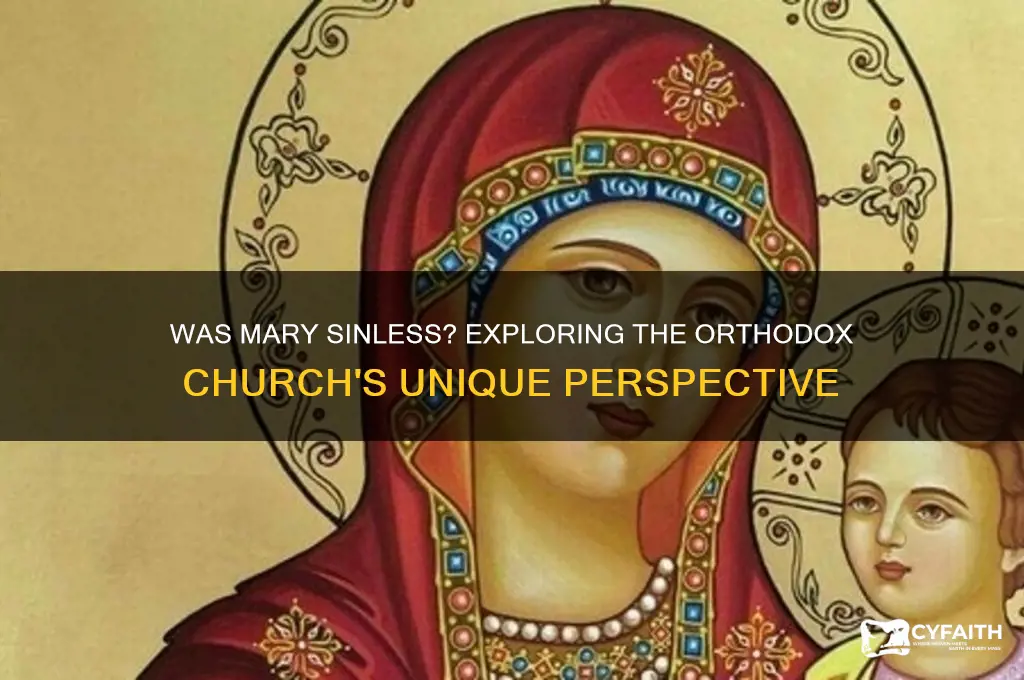 does the orthodox church believe mary was sinless