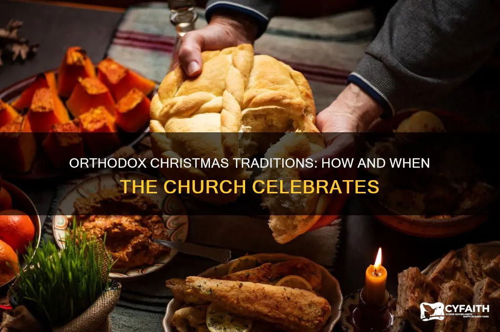 does the orthodox church celebrate christmas