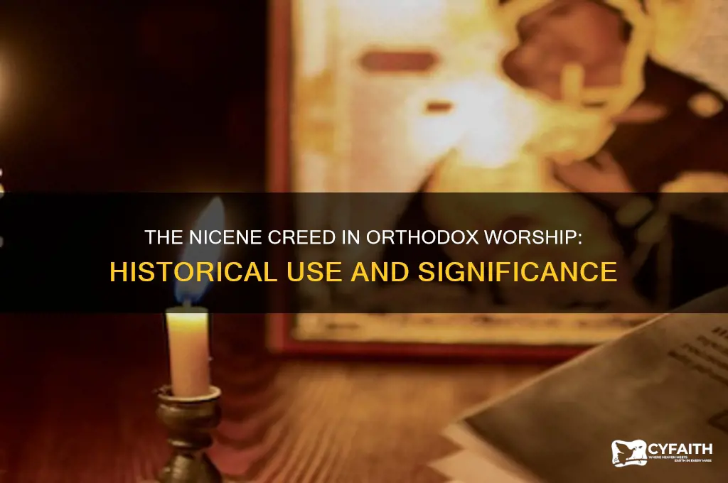 does the orthodox church say the nicene creed