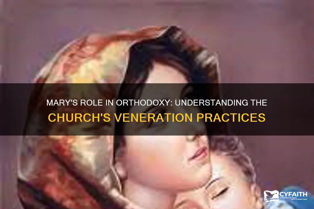 does the orthodox church venerate mary