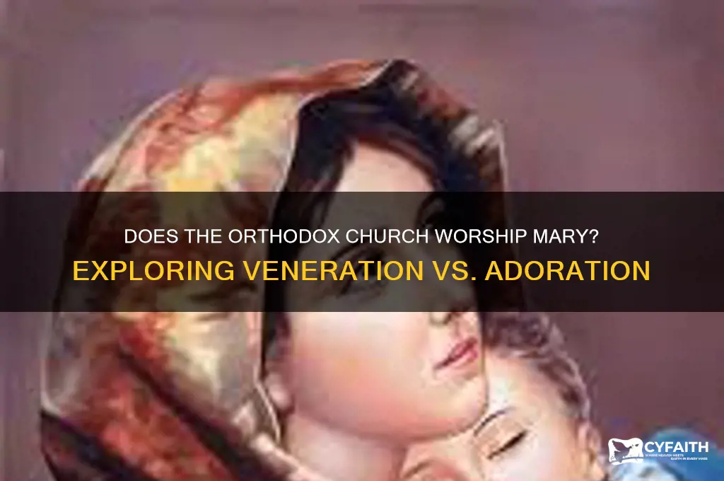 does the orthodox church worship mary
