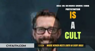 Orthodox Church's View: Is Protestantism Considered a Cult?