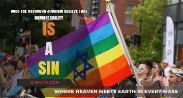 Orthodox Judaism and Homosexuality: Sin or Misunderstood Perspective?