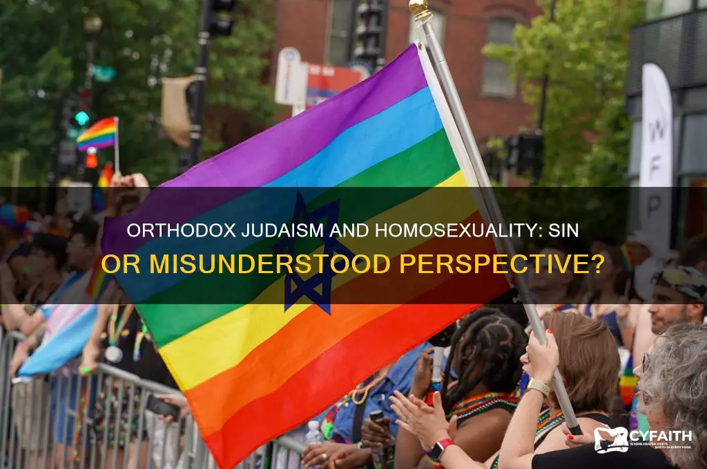 does the orthodox judaism believe that homosexuality is a sin