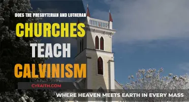 Calvinism in Presbyterian and Lutheran Churches: Doctrinal Differences Explained
