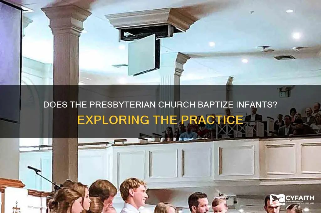 does the presbyterian church baptize infants