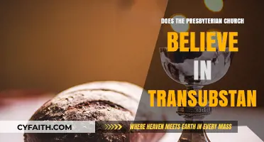 Presbyterian Church's View on Transubstantiation: Beliefs Explained