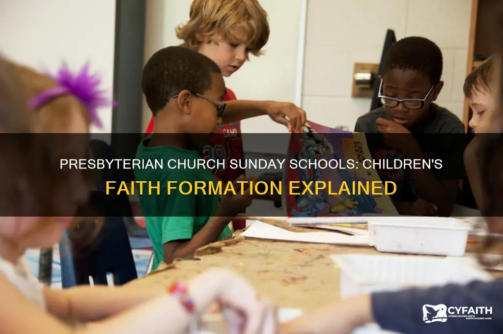 does the presbyterian church have sunday schools for children