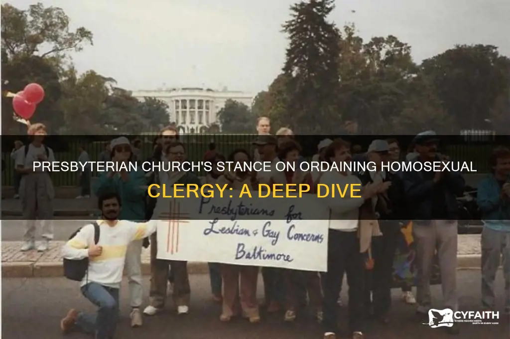 does the presbyterian church ordain homosexuals