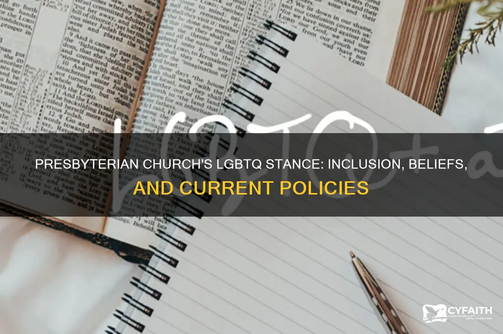 does the presbyterian church support lgbtq