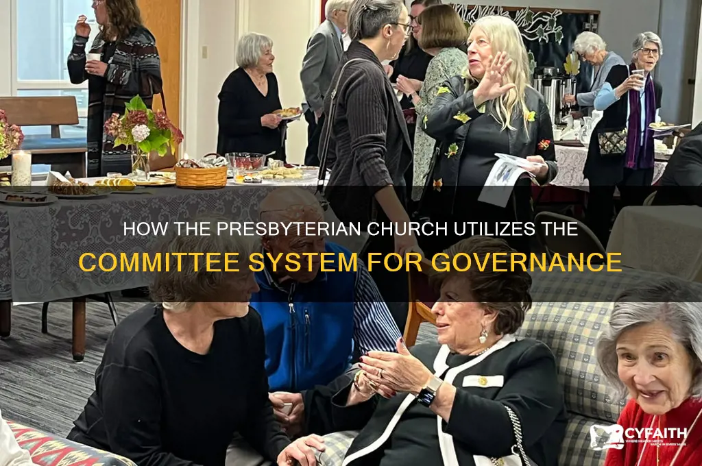 does the presbyterian church use the committee system