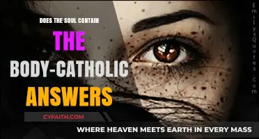 Soul and Body: Catholic Answers