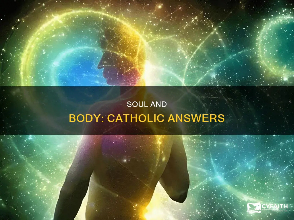 does the soul contain the body-catholic answers
