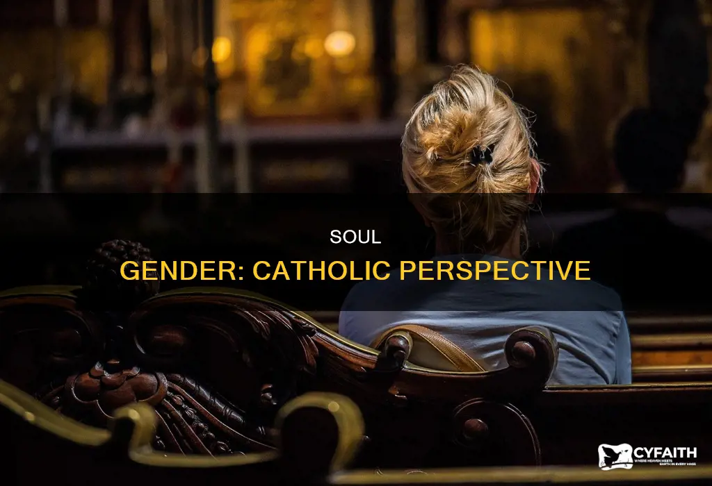does the soul have a gender catholic