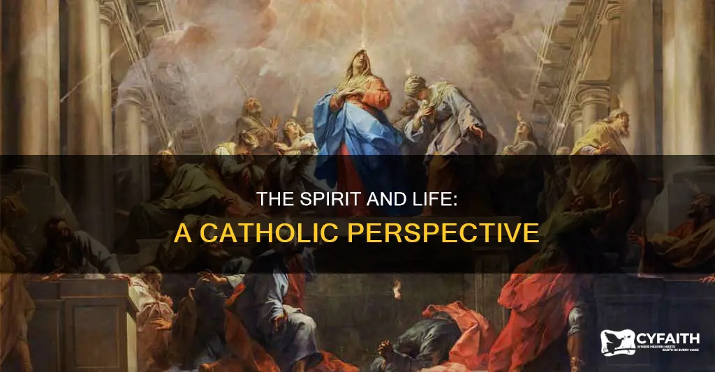 does the spirit give life catholic