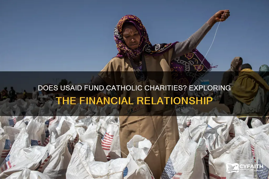 does usaid fund catholic charities