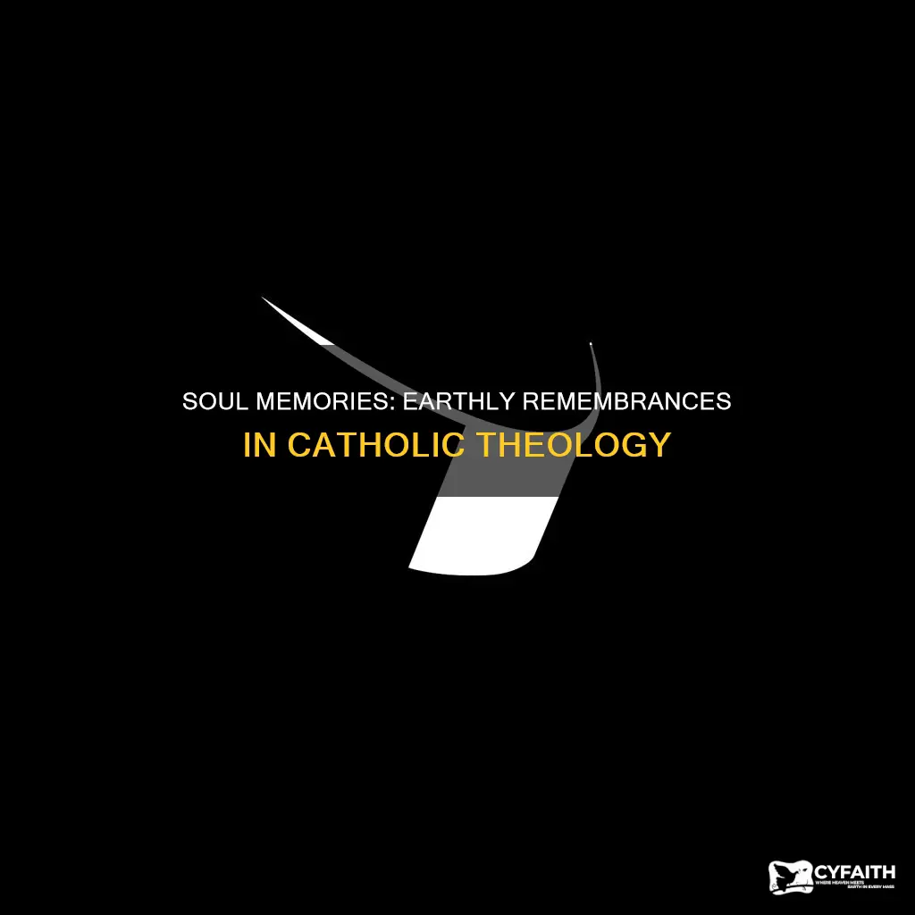 does your soul keep your earthly memories catholic